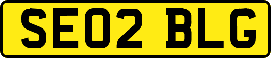SE02BLG