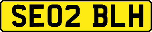 SE02BLH