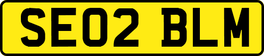 SE02BLM