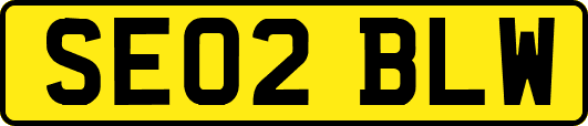 SE02BLW