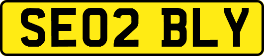 SE02BLY