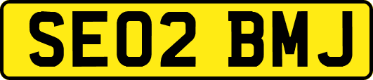 SE02BMJ