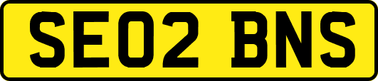 SE02BNS