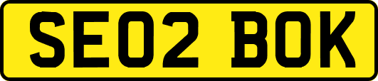 SE02BOK