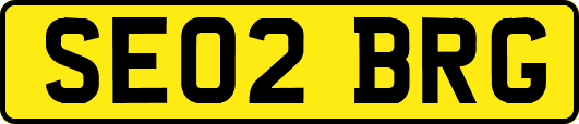 SE02BRG