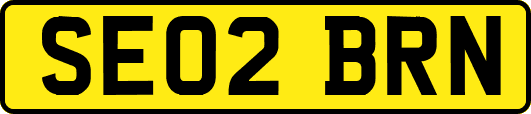 SE02BRN