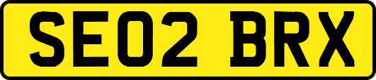 SE02BRX
