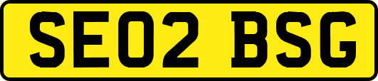 SE02BSG