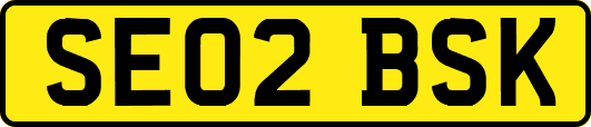 SE02BSK
