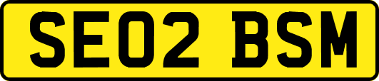 SE02BSM