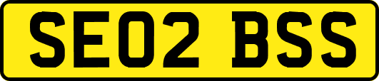SE02BSS