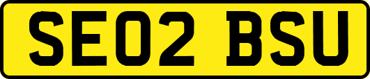 SE02BSU