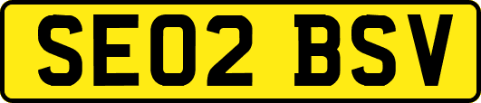 SE02BSV