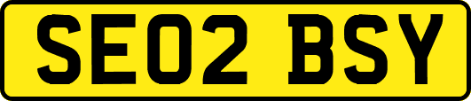 SE02BSY