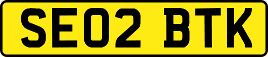 SE02BTK