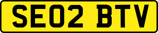 SE02BTV