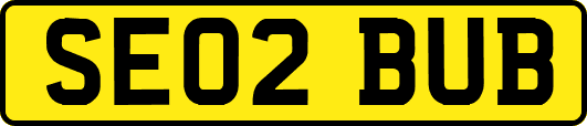 SE02BUB
