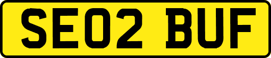 SE02BUF
