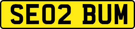 SE02BUM