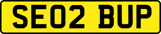 SE02BUP
