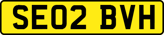 SE02BVH
