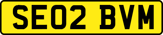 SE02BVM
