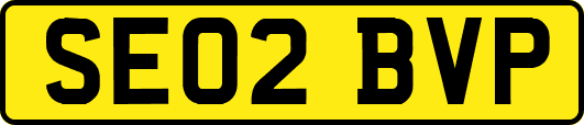 SE02BVP