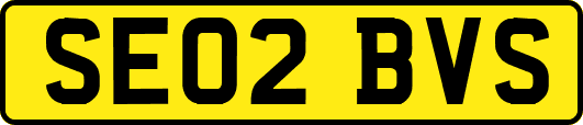 SE02BVS