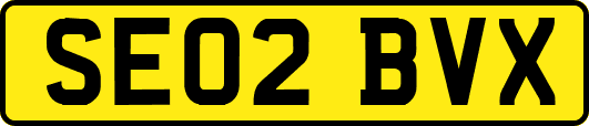 SE02BVX