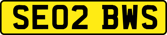 SE02BWS