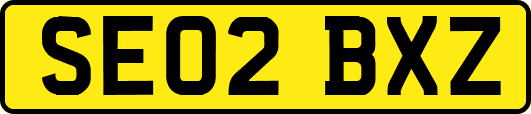 SE02BXZ