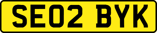 SE02BYK