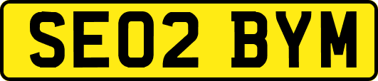 SE02BYM
