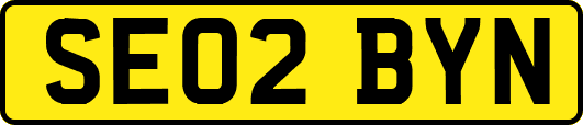 SE02BYN
