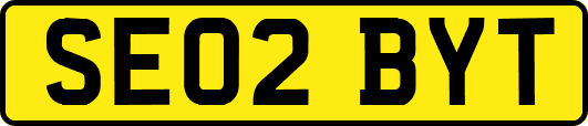 SE02BYT