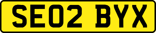 SE02BYX
