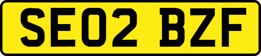 SE02BZF