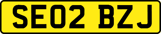SE02BZJ