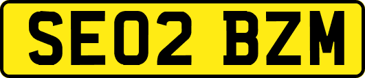 SE02BZM