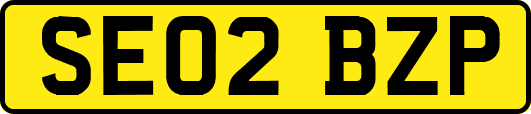 SE02BZP