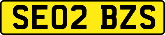 SE02BZS