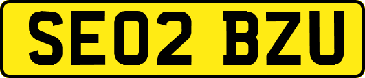 SE02BZU