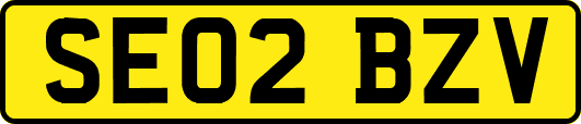 SE02BZV