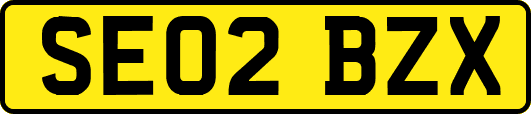 SE02BZX