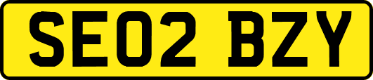SE02BZY