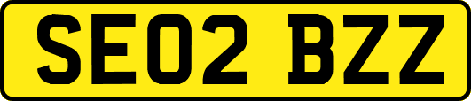 SE02BZZ