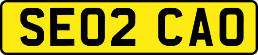 SE02CAO