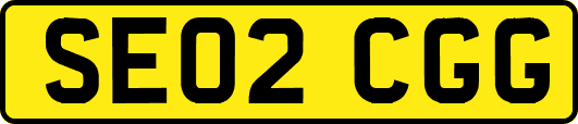 SE02CGG