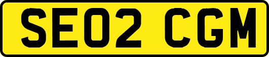 SE02CGM