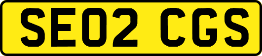 SE02CGS